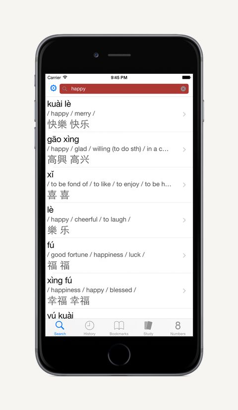 English search results in DianHua Dictionary on iPhone
